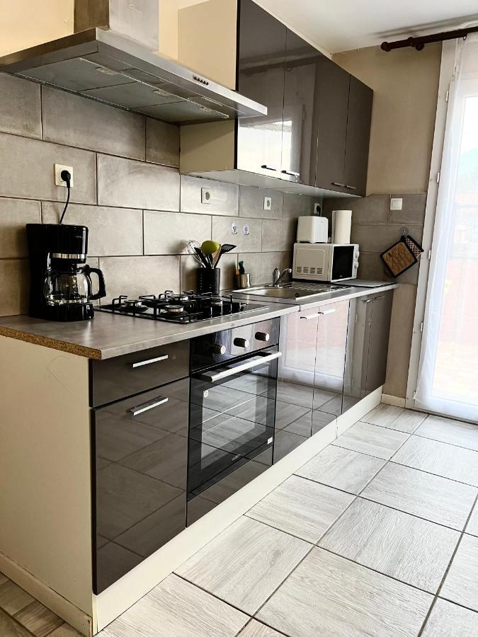Le Cosy En Coeur De Ville Prades  Zewnętrze zdjęcie